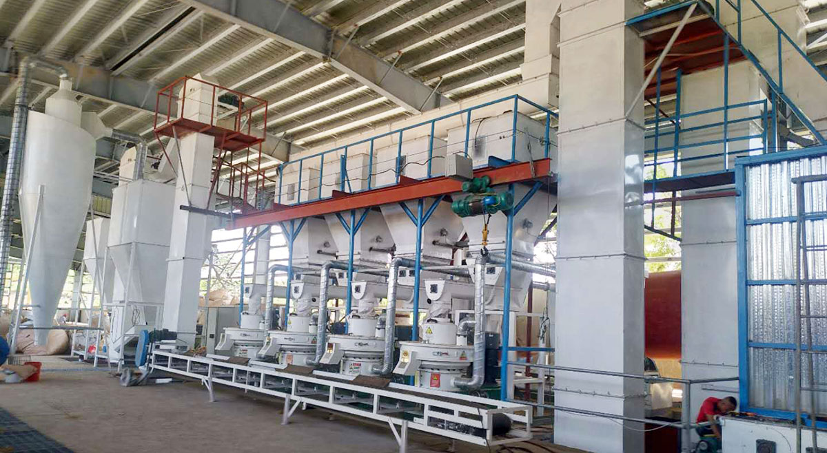 10t/h Wood Pellet Production Line in Philippines