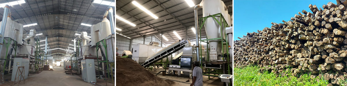20t/h Wood Pellet Production Line in Indonesia