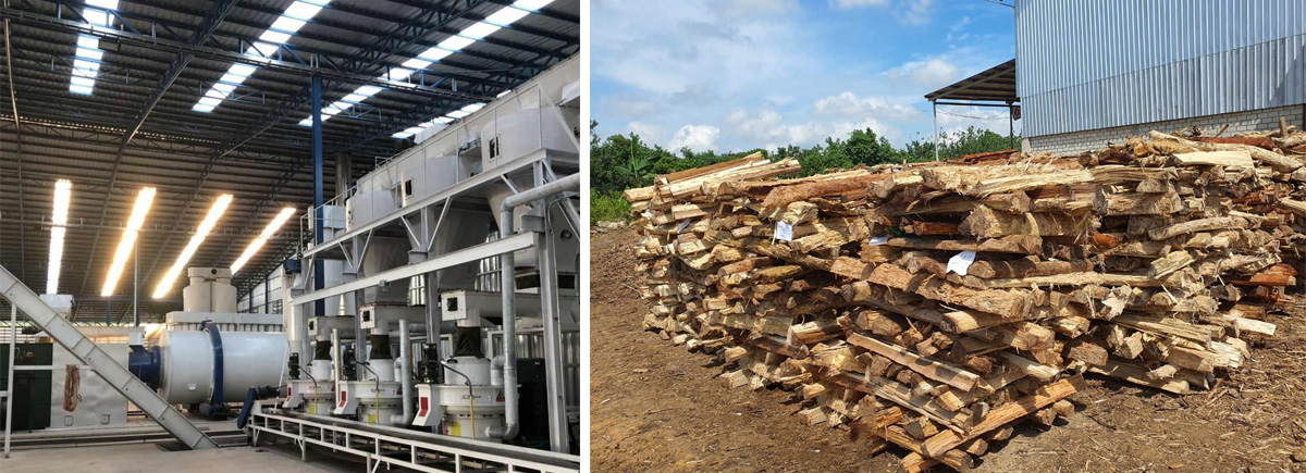 6t/h Wood Pellet Production Line in Thailand