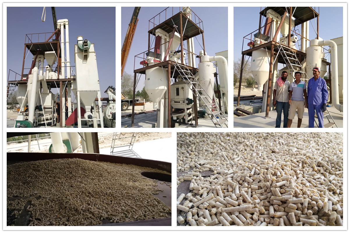 2-3t/h Feed Pellet Production Line in Qatar