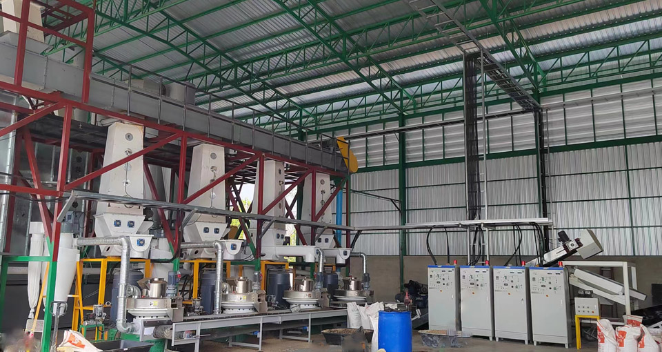 5-6t/h Wood Pellet Production Line in Thailand