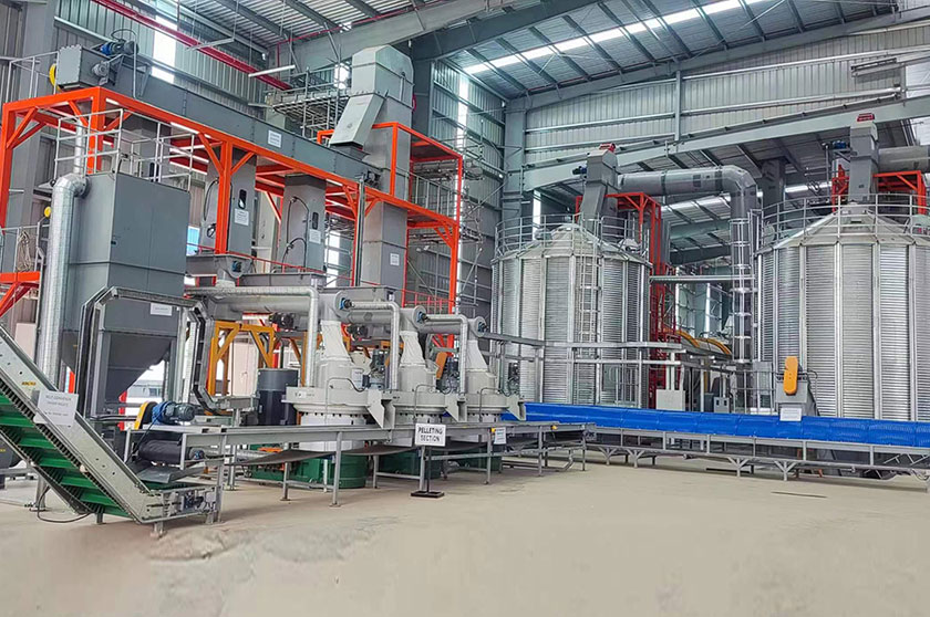 10t/h Biomass Wood Pellet Production Line in Malaysia