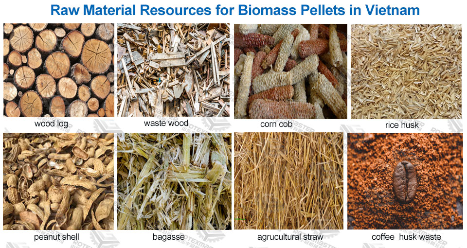 Biomass Pellet Market Prospects in Vietnam