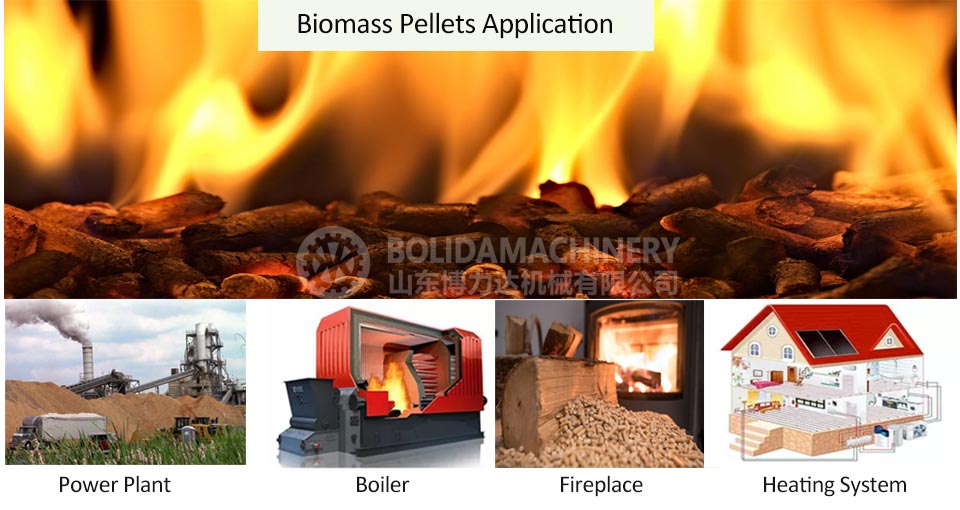 What are the main application areas of biomass pellets in India