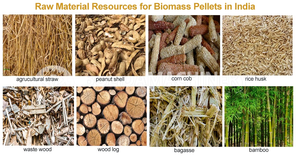 What raw materials can be used to make biomass pellets in India
