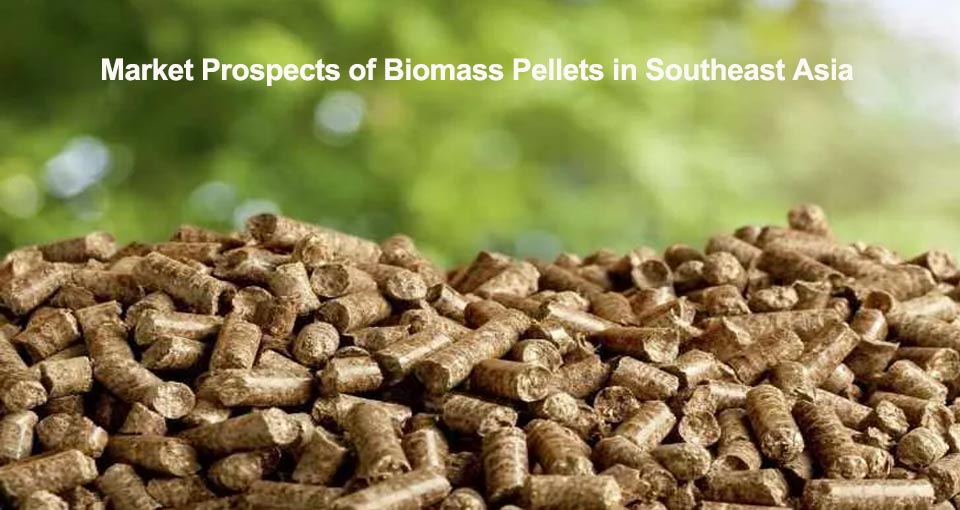 Analysis of Market Prospects of Biomass Pellets in Southeast Asia