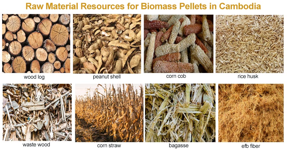 Analysis of the market prospects of biomass pellets in Cambodia