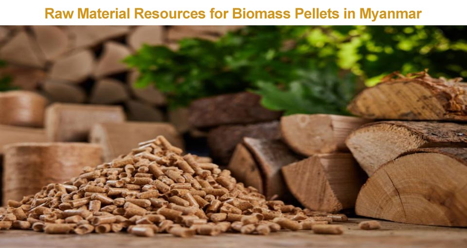 Analysis of the market prospects of biomass pellets in Myanmar