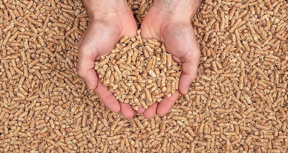 Analysis of the Philippine Biomass Pellets Market Prospects