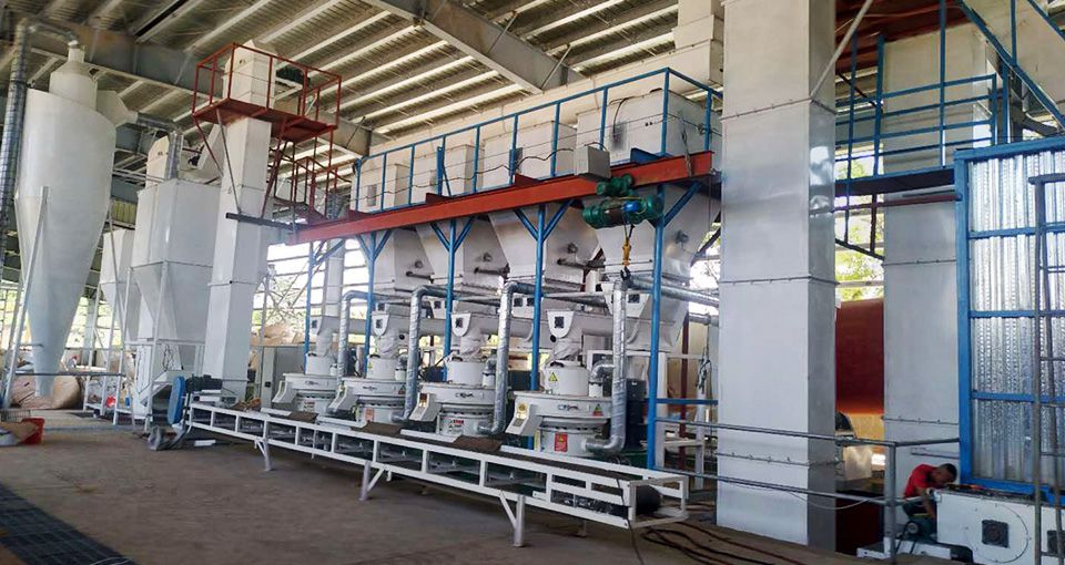 10t/h Wood Pellet Production Line in Philippines