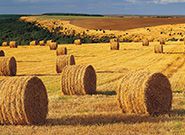 Straw Pellet Making