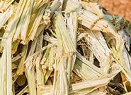 Bagasse Pellet Making