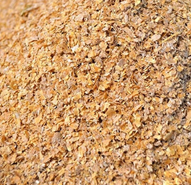 Grain Bran