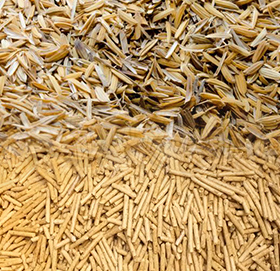 Rice Husk Pellet Making