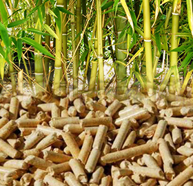 Bamboo Pellet Making