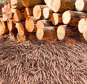 Wood Pellet Making