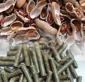 Peanut Shell Pellet Making