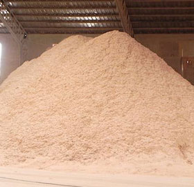 Wood Powder