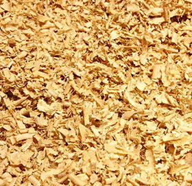 Wood Shavings