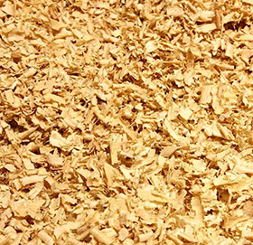 Wood Shavings