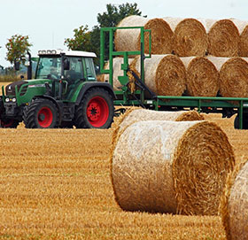 Bundles of Straw