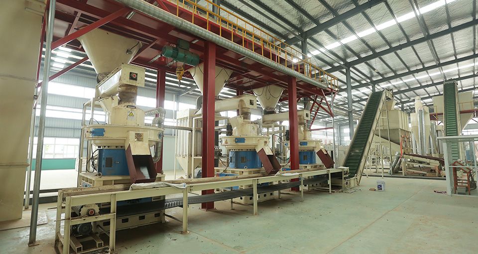 20t/h Wood Pellet Production Line in Jiangsu