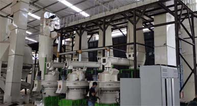 How much is biomass wood pellet production line