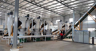 20t/h Wood Pellet Production Line in Cambodia