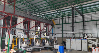 5-6t/h Wood Pellet Production Line in Thailand