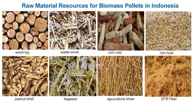 Analysis of Biomass Pellet Market Prospects in Indonesia