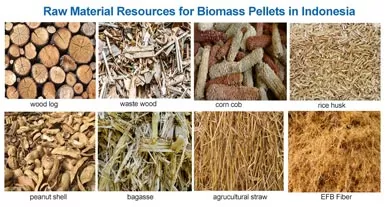 Analysis of Biomass Pellet Market Prospects in Indonesia