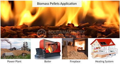 What are the main application areas of biomass pellets in India