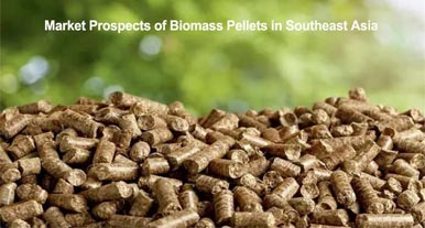 Analysis of Market Prospects of Biomass Pellets in Southeast Asia