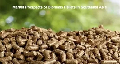 Analysis of Market Prospects of Biomass Pellets in Southeast Asia