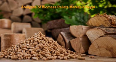 Analytis of Biomass Pellets Market in Nepal