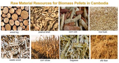 Analysis of the market prospects of biomass pellets in Cambodia