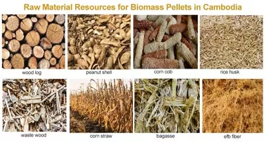 Analysis of the market prospects of biomass pellets in Cambodia