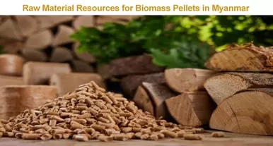 Analysis of the market prospects of biomass pellets in Myanmar