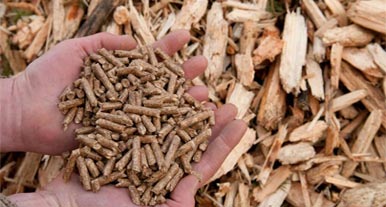 Investment prospects of Laos biomass pellet market: a new blue ocean of green energy in Southeast Asia