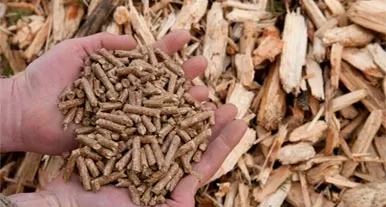 Investment prospects of Laos biomass pellet market: a new blue ocean of green energy in Southeast Asia
