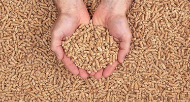 Analysis of the Philippine Biomass Pellets Market Prospects